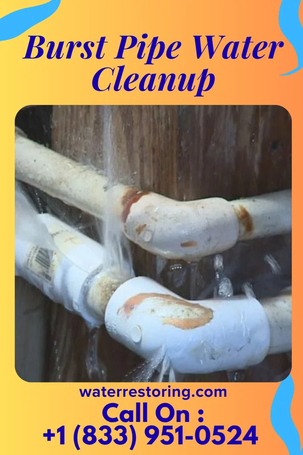 Burst Pipe Water Cleanup in Grantsville, MD