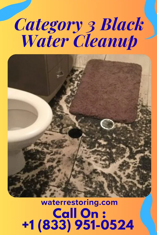 Category 3 Black Water Cleanup in Grantsville, MD