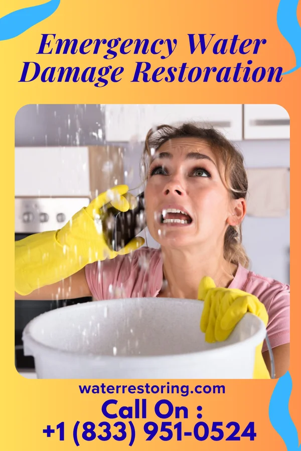 Emergency Water Damage Restoration in Grantsville, MD