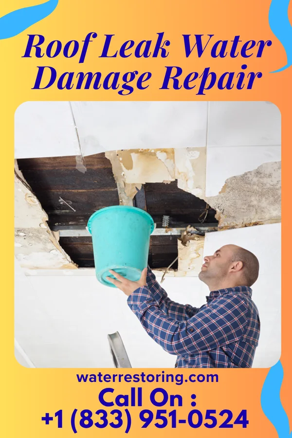 Roof Leak Water Damage Repair in Grantsville, MD