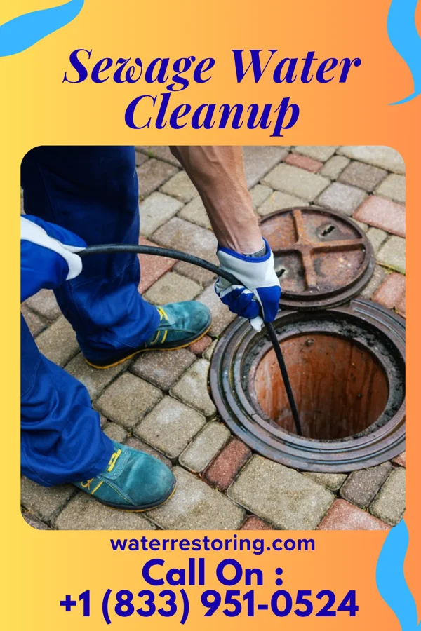 Sewage Water Cleanup in Grantsville, MD